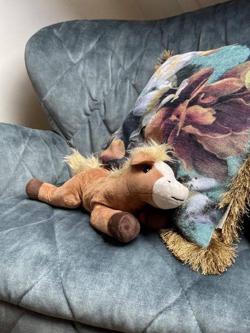 Warmteknuffel Pony bij Stichting Het Terphuis