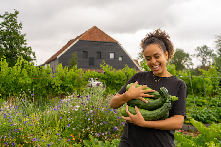 Moestuin van Stichting Het Terphuis in Poortugaal